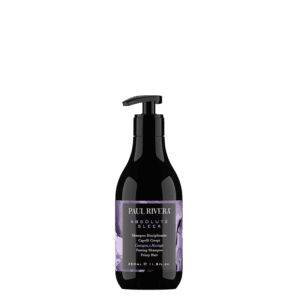 Absolute Sleek — Шампунь для разглаживания